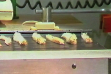 Wool staples on conveyor belt being measured by ATLAS device.