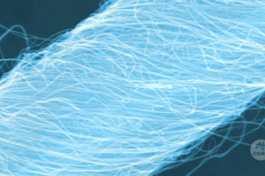 Microscopic view of fibre made from carbon nanotubes.
