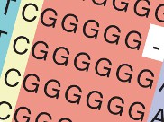 DNA is written in an alphanet of A, C, G and T
