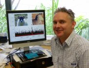 CSIRO's Dr James Kijas has led the research effort to develop a DNA-based parentage test for sheep. 