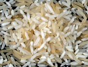 Taking a closer look at long and short grains of rice.