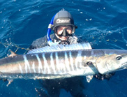 Spearfisher Adrian Jeloudev with a Spanish mackerel