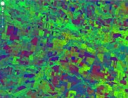 Fractional cover images can be used for the identification and mapping of active cropping areas, crop growth stage and inter-crop land management practices. In this image, centred on Moree NSW, the vigorously growing, irrigated crops have a very high green cover fraction and show up as bright green in the fraction image. Newly planted areas appear in various shades of orange, as the bare fields slowly green-up with the new crop. Harvested areas show as either cyan fields, when the stubble has been left to retain post-harvest cover, or as red, when only bare soil is visible to the satellite. (Credit: Peter Scarth, Terrestrial Ecosystem Research Network)