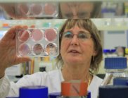 Dr Jenny McKimm-Breschkin showing drug killing viruses in cell culture.