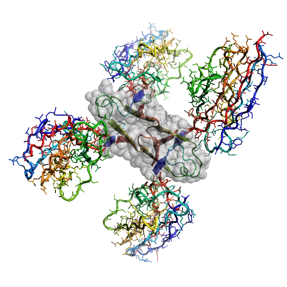 Токсичные белки. Β-амилоид. Amyloid Beta. Amyloids structure. Бета белки.