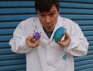 CSIRO researcher, Chad Henry holding two 3D titanium bugs