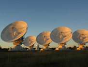 Five radio dishes in a line, facing the rising Sun