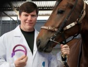 Main in white coat with CSIRO logo on pocket holding reins of brown horse in one hand and two brightly coloured horse shoes in the other hand