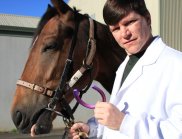 Main in white coat with CSIRO logo on pocket holding reins of brown horse in one hand and a brightly coloured horse shoe in the other hand