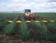 Spraying raised beds only – shielded sprayer is covering the furrows