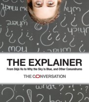 Book cover - The Explainer: From Déjà Vu to Why the Sky is Blue and Other Conundrums