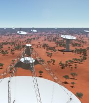 Artist's impression of dishes that will make up the SKA radio telescope at the Australian core site. (Image: Swinburne Astronomy Productions/Australian SKA Office)