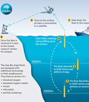 An infographic depicting six stages that the Argo float goes through in order to collect data.