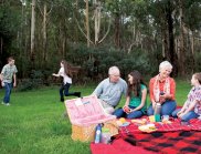 A family including older people and children having a picnic in a bushland clearing