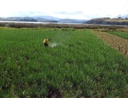 Farmer spraying crops in a field with a lake and hills in the background