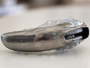 Side view of a mouthguard.