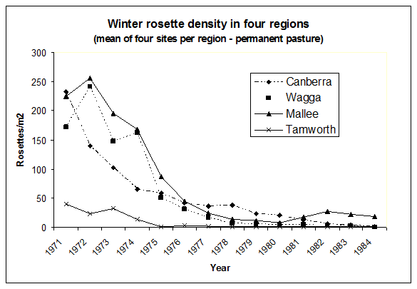 Density of rosettes of Chondrilla juncea in winter