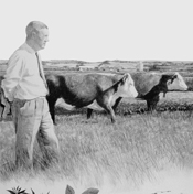 Jack Griffiths Davies standing knee-deep in an experimental plot of pasture