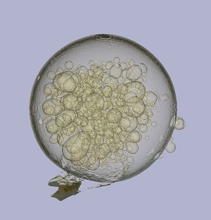 A transparent microtomographic reconstruction of a silica Ceramisphere