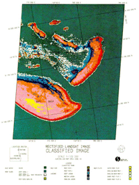 Batt Reef images- classification image