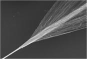 Carbon nanotube fibres spun into a yarn