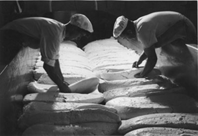 Cheese made by the first mechanical cheese-maker in the late 1950s