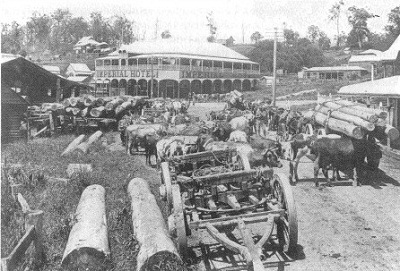 Bullock teams at a small country town in the 1920s