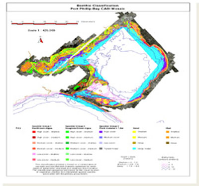 Port Phillip Bay Depth Chart