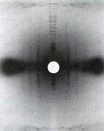 X-ray diffraction pattern obtained from rat-tail tendon (collagen)
