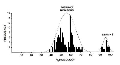 The bimodal distribution of amino acid sequence identities discriminates potyvirus species from strains