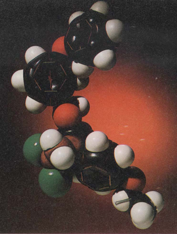 Cycloprothrin model