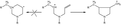 Cyclopolymerisation of 1