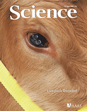Cover of the April 24th 2009 edition of _Science_