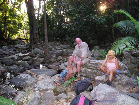 Keith McDonald (QLD EPA) and a volunteer on a frogging trip in a Far North Queensland rainforest