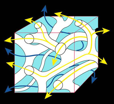 Diagram on how Lotrafilcon A provides co-continuous channels transmitting oxygen and ions through the contact lens