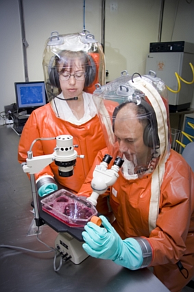 Staff inside CSIRO's Australian Animal Health Laboratory at Geelong