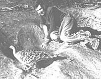 Harry Frith at a mallee-fowl mound with attendant male bird