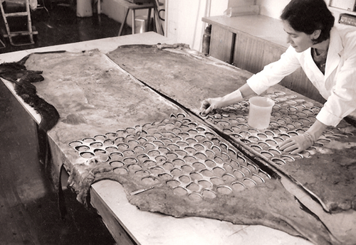 Catherine Money cutting hide samples for laboratory preservation trials