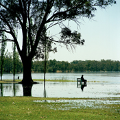 Flooded Murray River