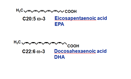 The chemical formulae for EPA and DHA.