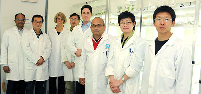 The CSIRO Omega3 team stand in the lab