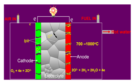 A fuel cell converts fuels (hydrogen