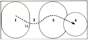 Two ovals and a circle with the numbers 1 to 4