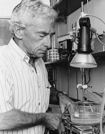 Figure 4. Dr MD (Hal) Hatch, FAA, FRS, co-discoverer of C4 photosynthesis. Source: http://plantsinaction.science.uq.edu.au/content/feature-essay-21-discovery-c4-photosynthesis.