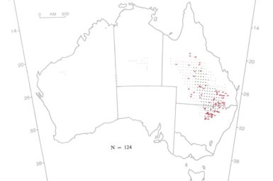 Map created using BIOCLIM data for De Vis’ banded snake