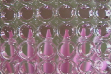 Close up view of micro-pipettes.