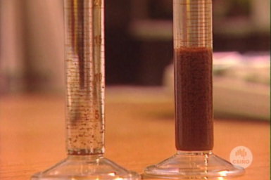 Laboratory comparison of two methods of water purification