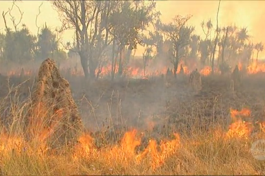 Controlled burn of grasslands.