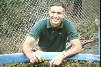 Dr Peter Room with pool of Salvinia plants.